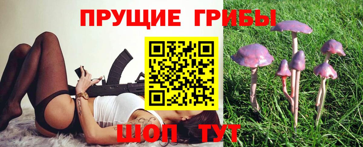 Галлюциногенные грибы Cubensis Гусиноозёрск